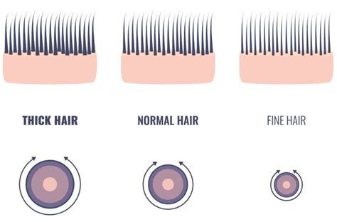 hair thickness measurement|human hair thickness in inches.